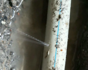 克东卫生间测漏水多少钱