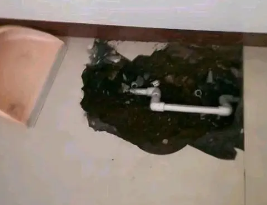 克东卫生间测漏水多少钱